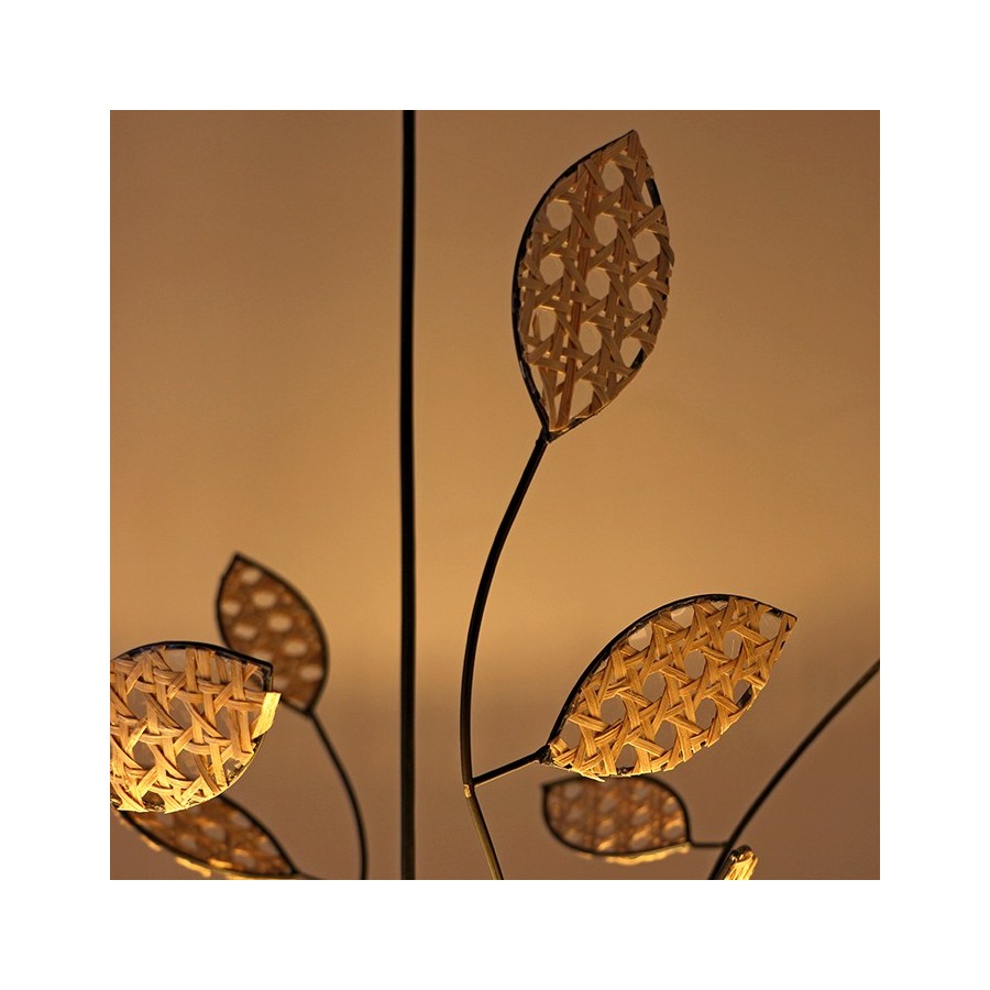 MyLamp Concept | Aydınlatma & Dekorasyon